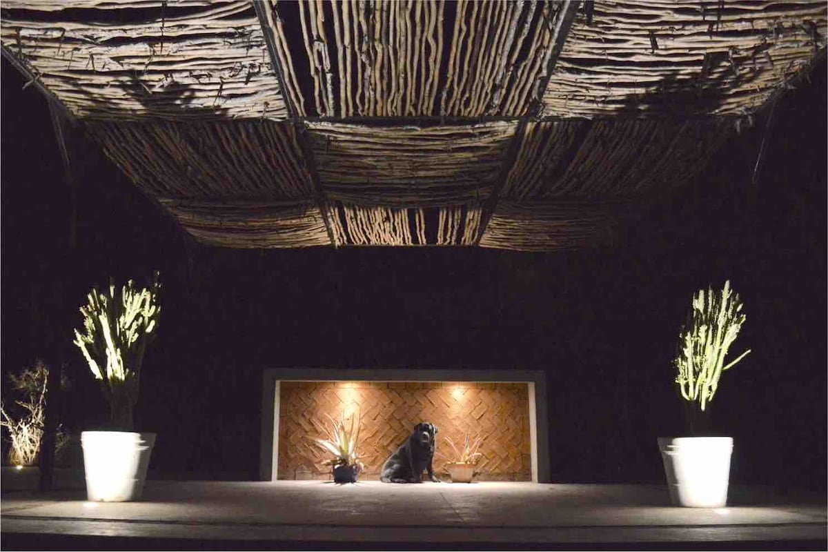 A shaded outdoor area features a textured ceiling crafted from natural materials. Two potted plants stand on either side of a central wooden feature, which is illuminated softly. A black dog rests calmly on the floor, adding a touch of life to the tranquil setting.