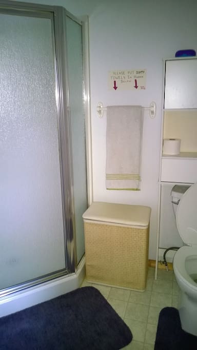 Shower, toilet & Vanity