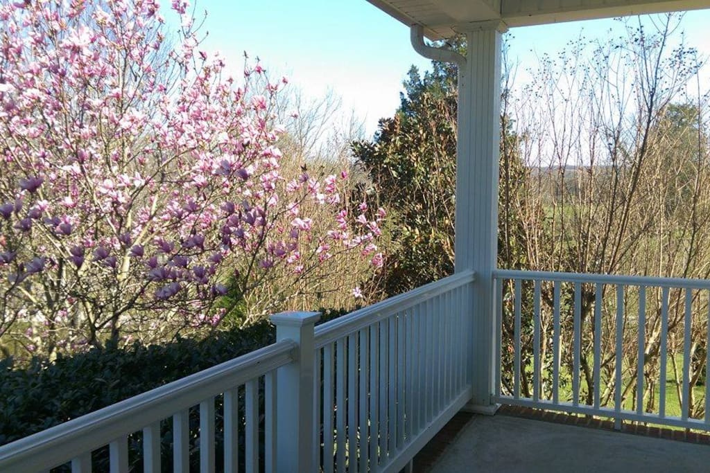 Front Porch views
