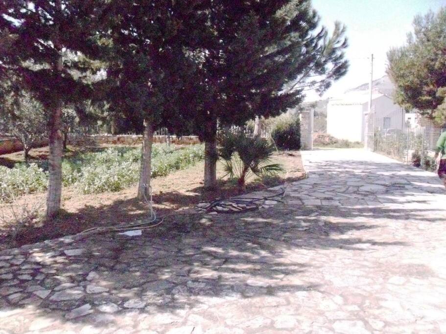 VIALONE VISTO DA DENTRO