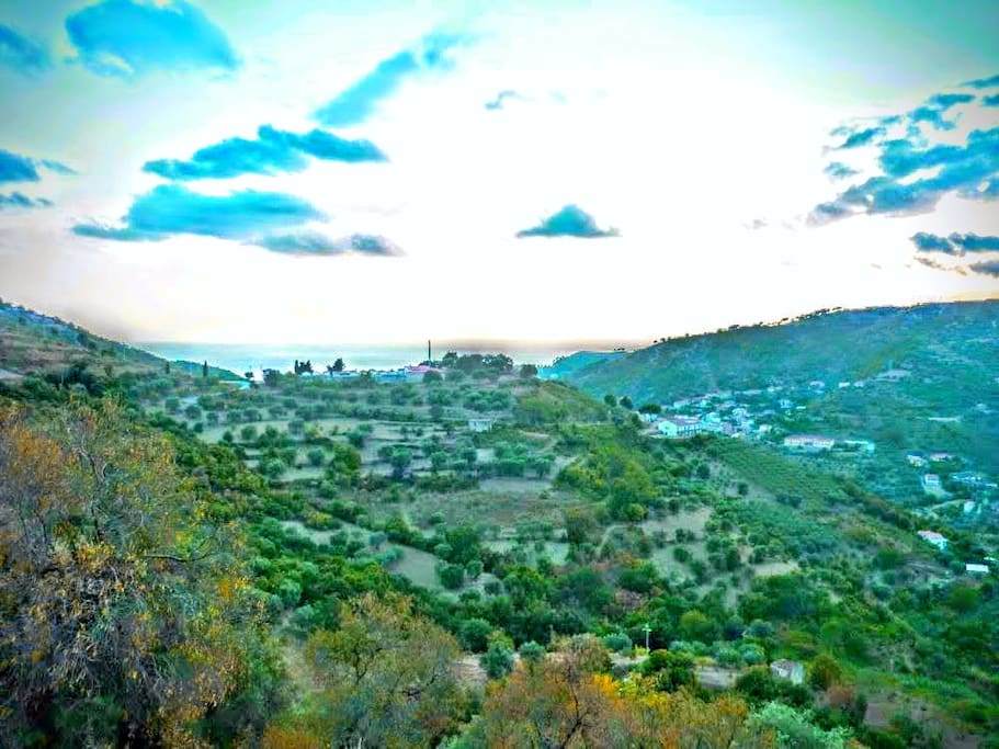 This is the Panorama you will see from the Balcony: Sea, Blue sky, Green olives trees and Sun ;-)