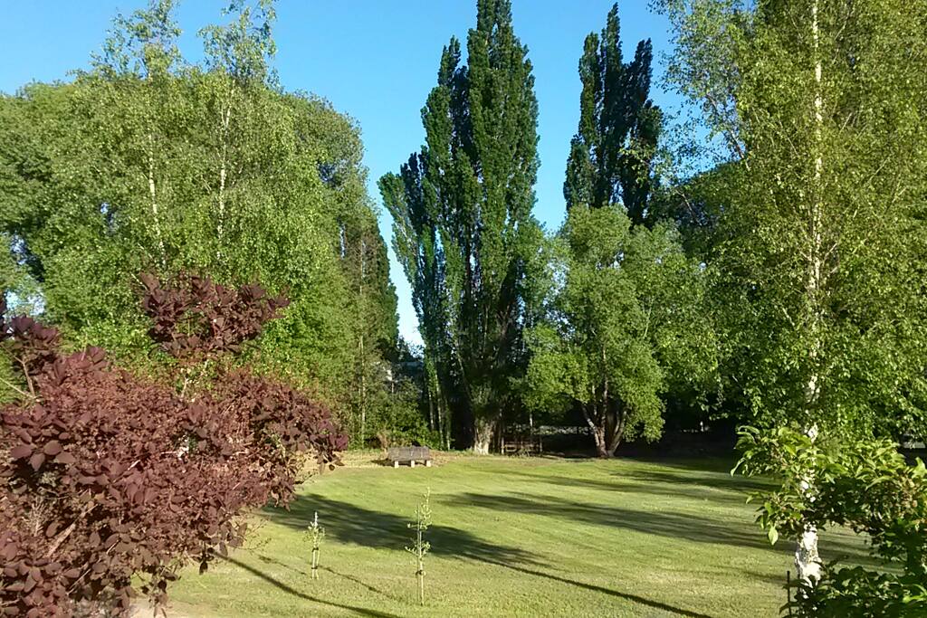 Look out across the lawn to the trees along the creek that borders the property.