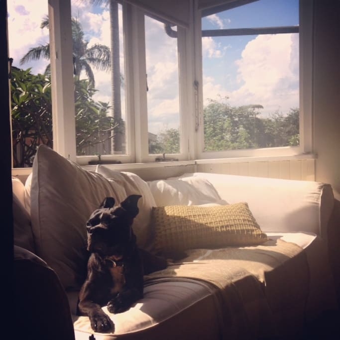 Sunny bay window in the shared living room.