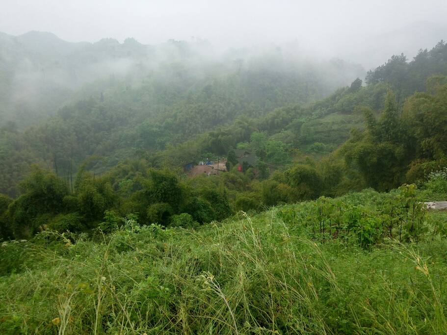 家的周围