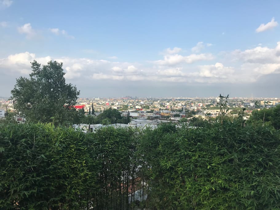 Vista desde la habitación