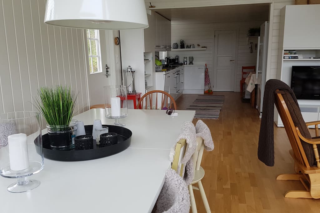 Livingroom and kitchen