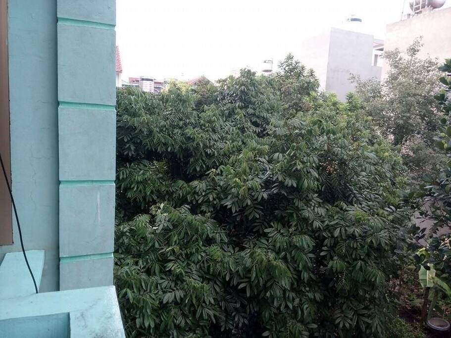 View from bedroom