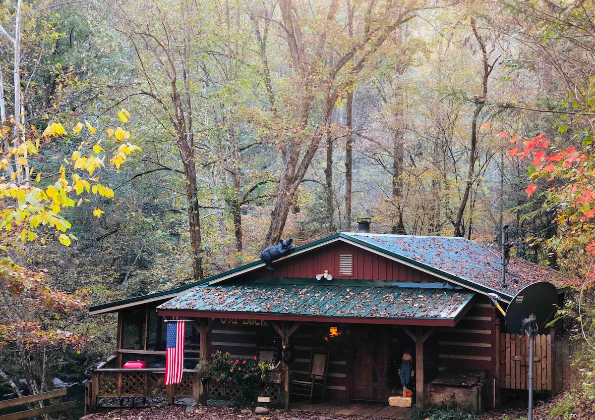 The cabin features a rustic design, nestled among towering trees with colorful foliage. A welcoming porch is visible, adorned with seating and decorations. An American flag gently waves near the entrance, adding a touch of warmth to the serene forest setting.