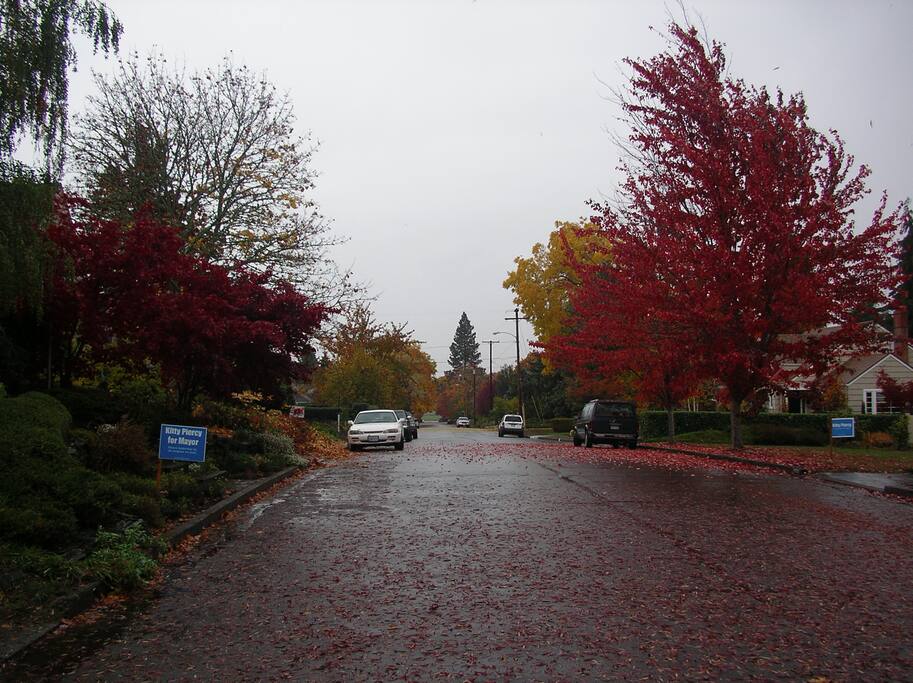 Monroe Street. Walkable. Quiet.
