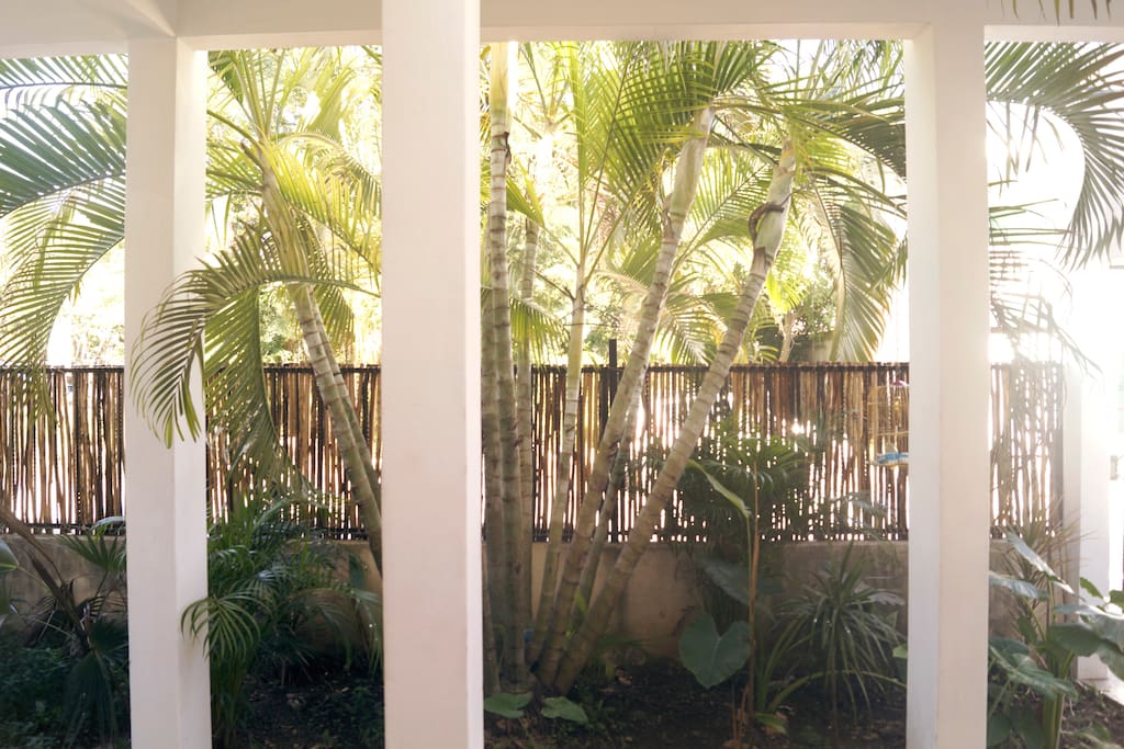 Casa Zactun Garden