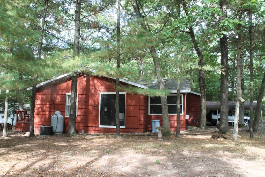 French Doors of living room where deer walk by and bird feeders on pine trees.