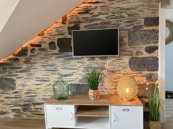Appartement Charmant - Angers
