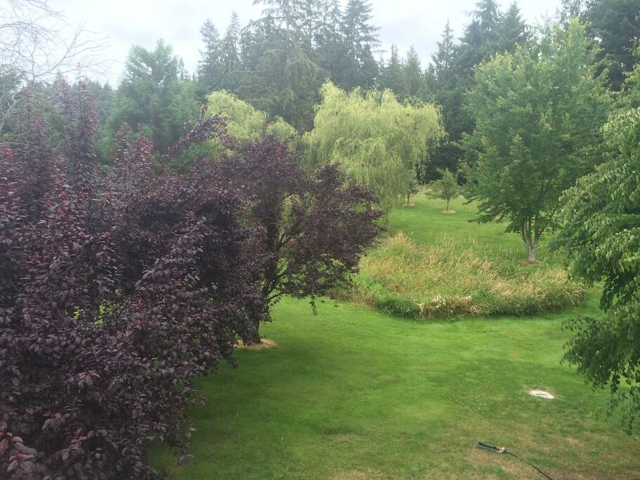 5 acres beautifully landscaped!