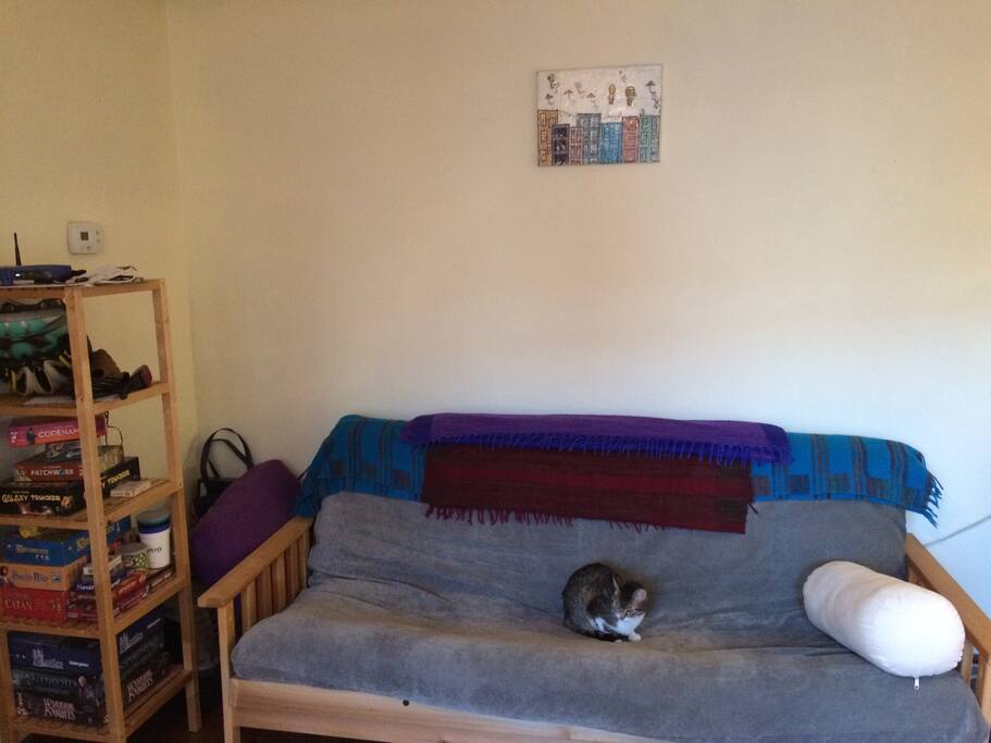 Futon couch (opens to bed)