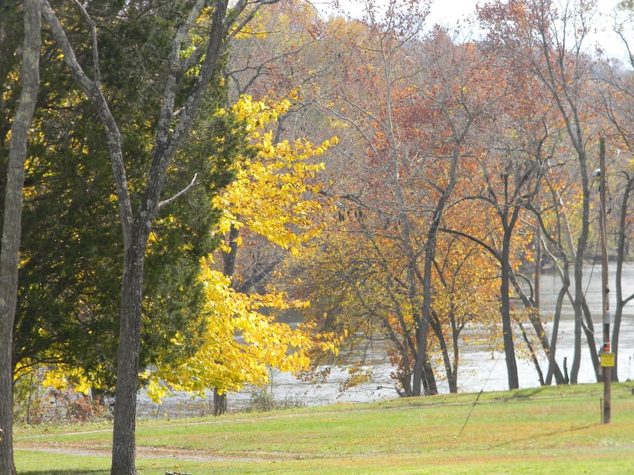 view of Shenandoah River from cabin (across roadway)