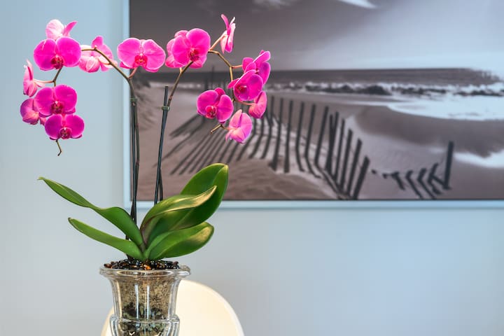 "Deco Charm" House near Little Havana. Sleeps 4.