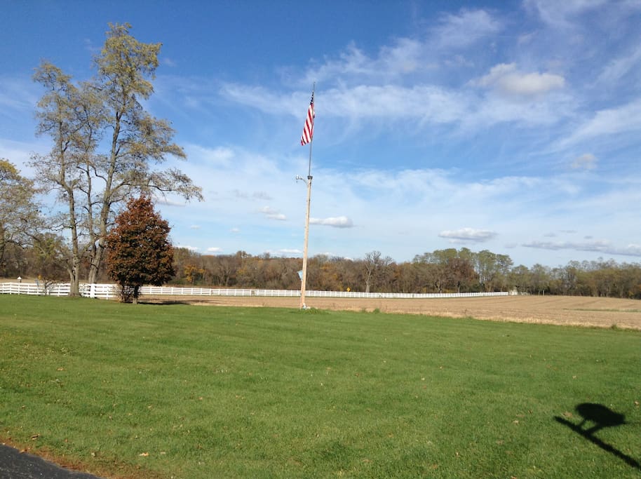 View from the driveway