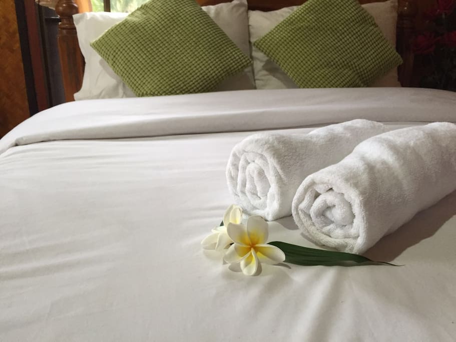 bed