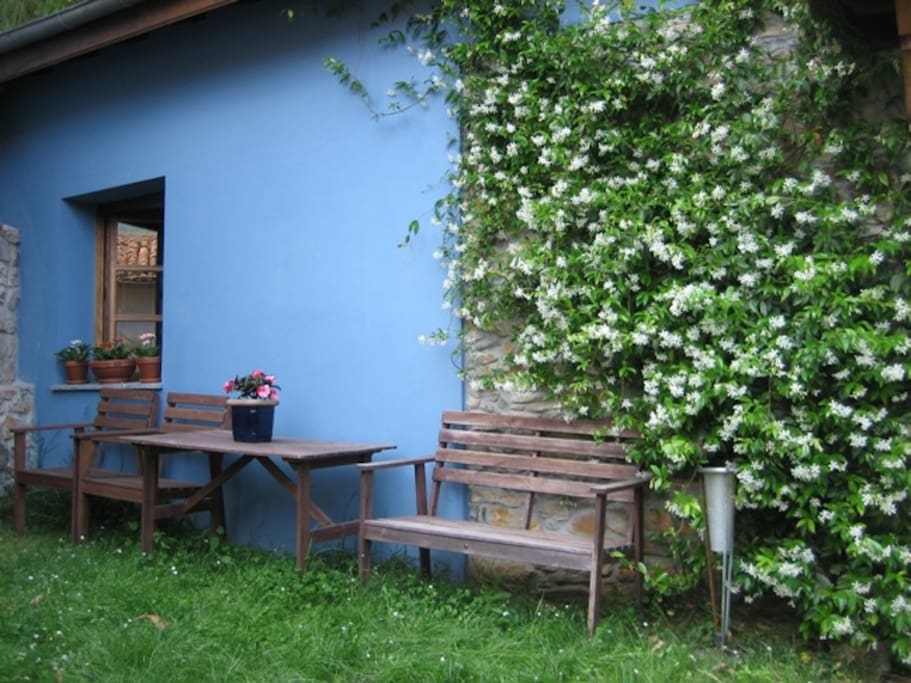 exterior lateral izquierdo/jardín