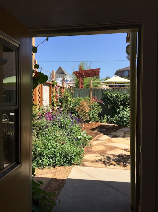 View from inside to the yard