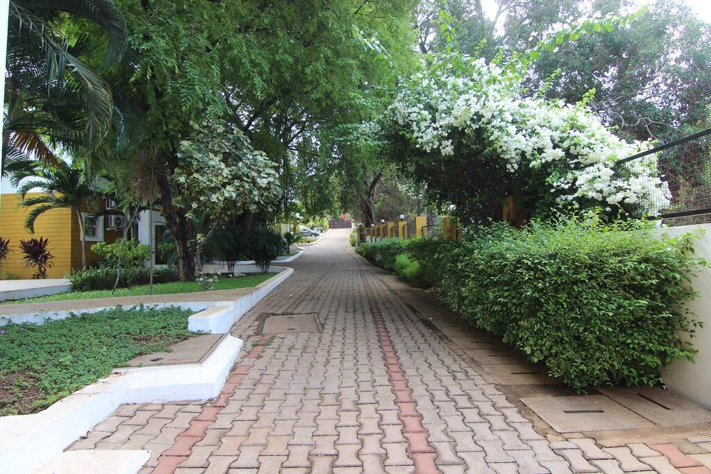 Drive way