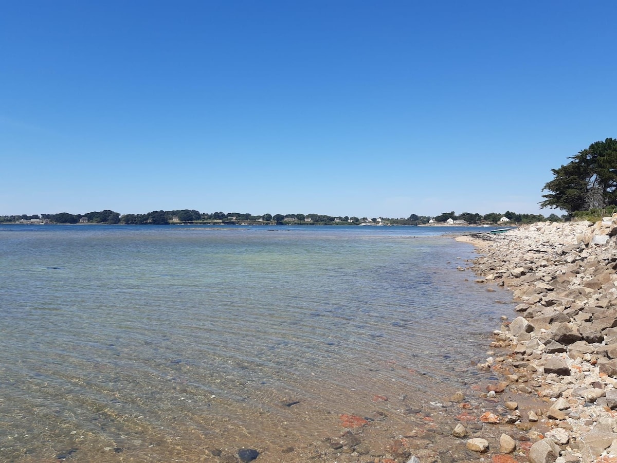 A tranquil scene of a shoreline features clear water gently lapping at smooth stones. The landscape reveals a calm bay under a clear blue sky, with green trees and homes visible in the distance. The beach provides a serene environment for relaxation.