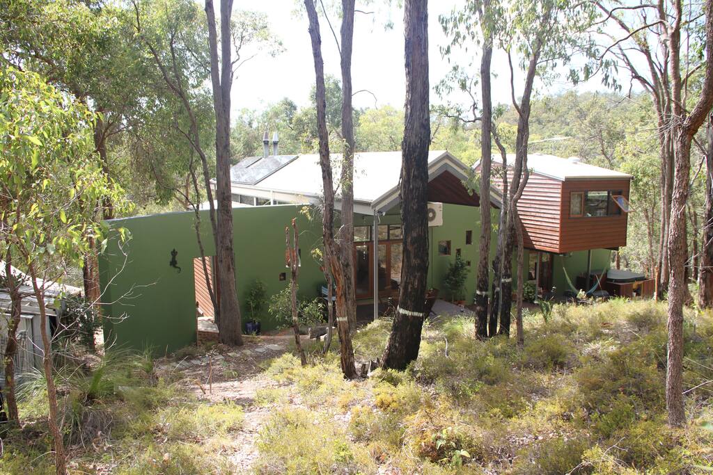 Our bush setting from the back of the house.
