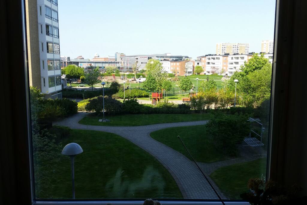 Kitchen view!