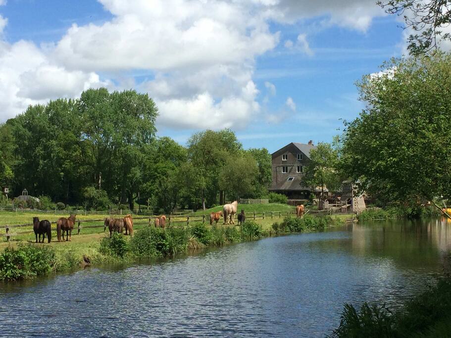 notre jolie vallée