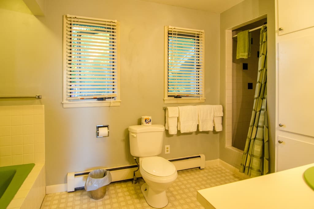 Spacious bathroom with tub and shower