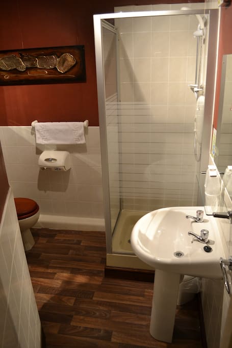 En-Suite Bathroom W/ Shower