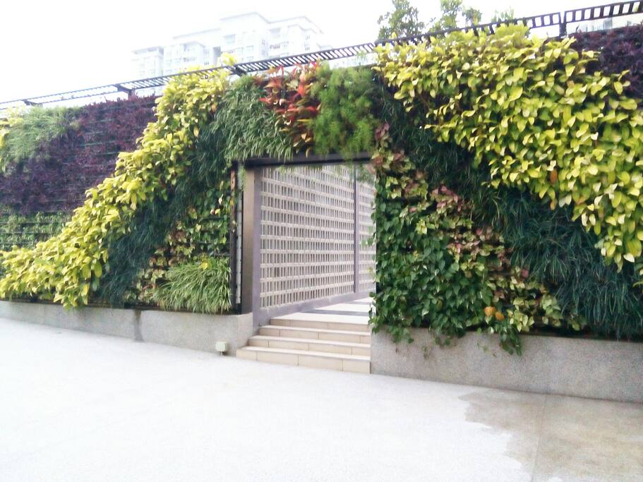 Garden Area