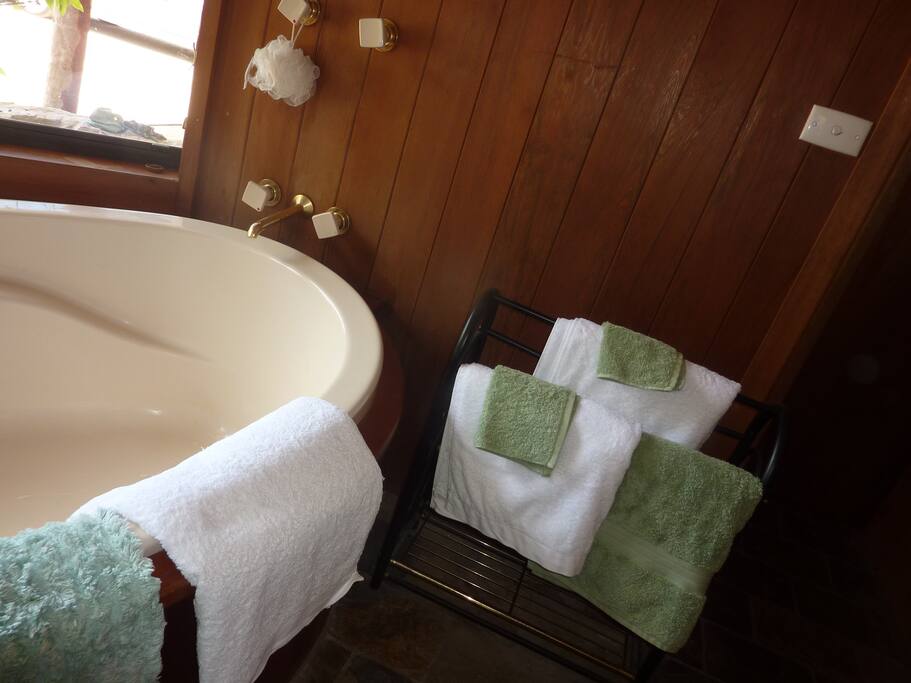 Private bathroom and separate toilet
