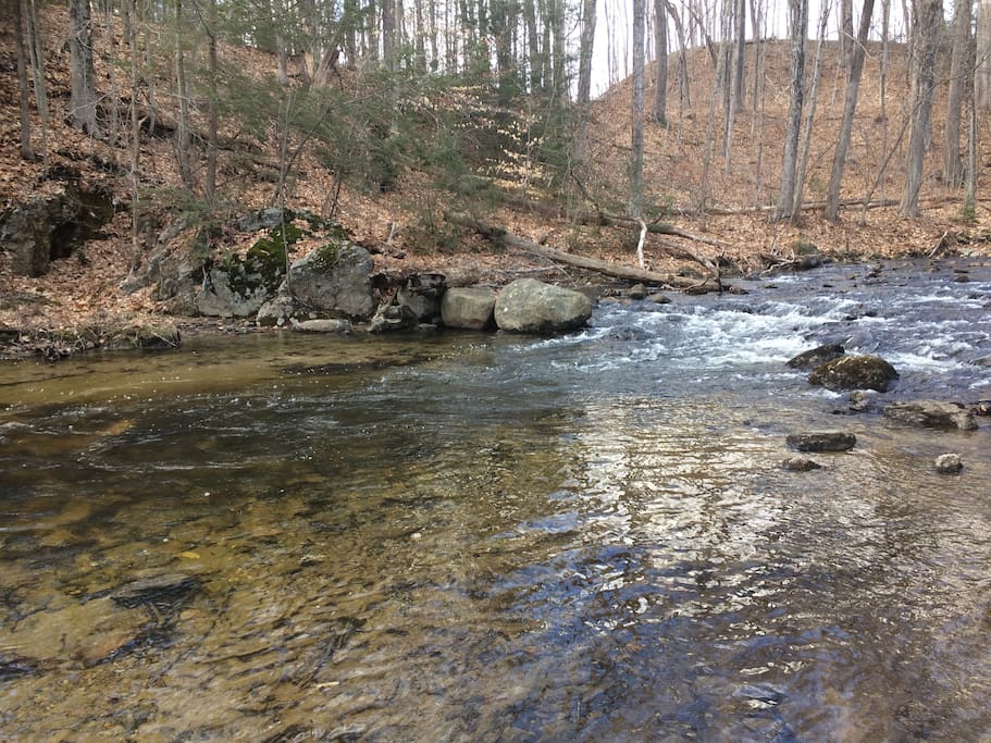 Stream along the trail