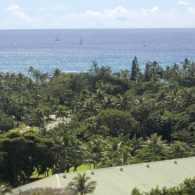 Beautiful Waikiki Scenery of the Ocean