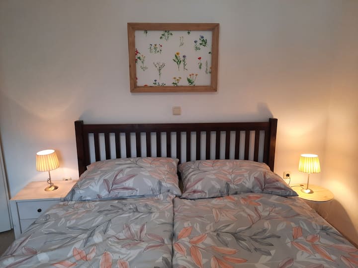 美妙而轻松的夜晚 