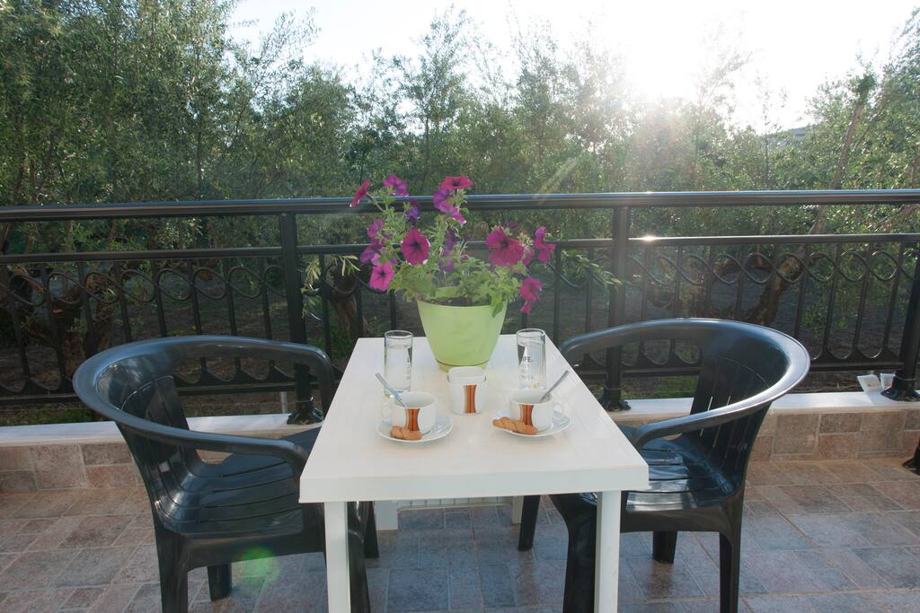 Beautiful quite balcony among olive trees