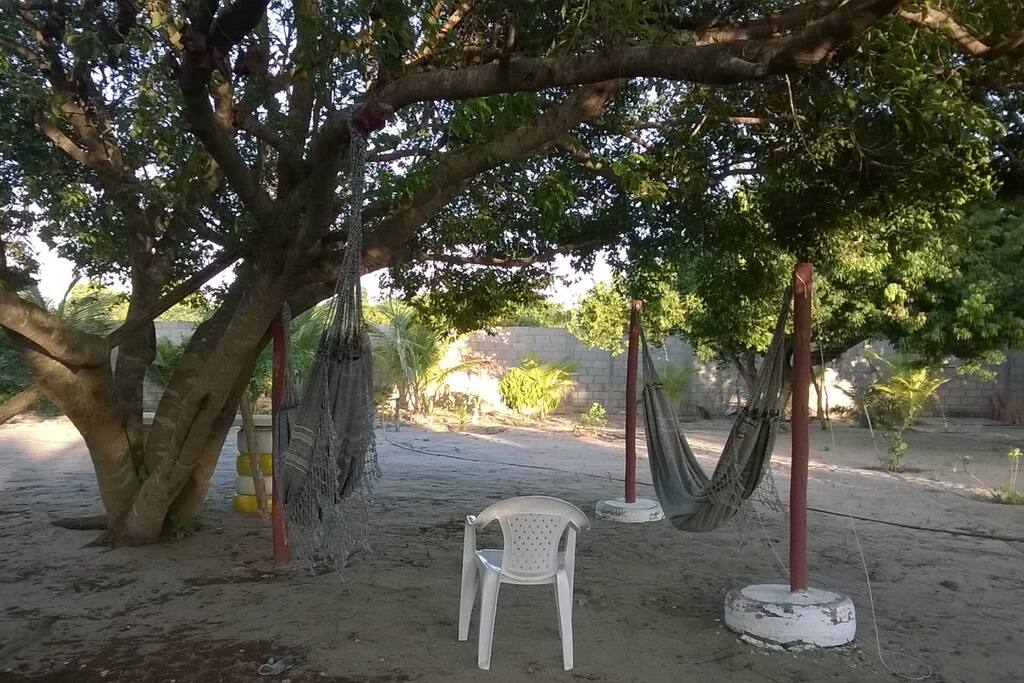 local arborizado bom para descanso.
