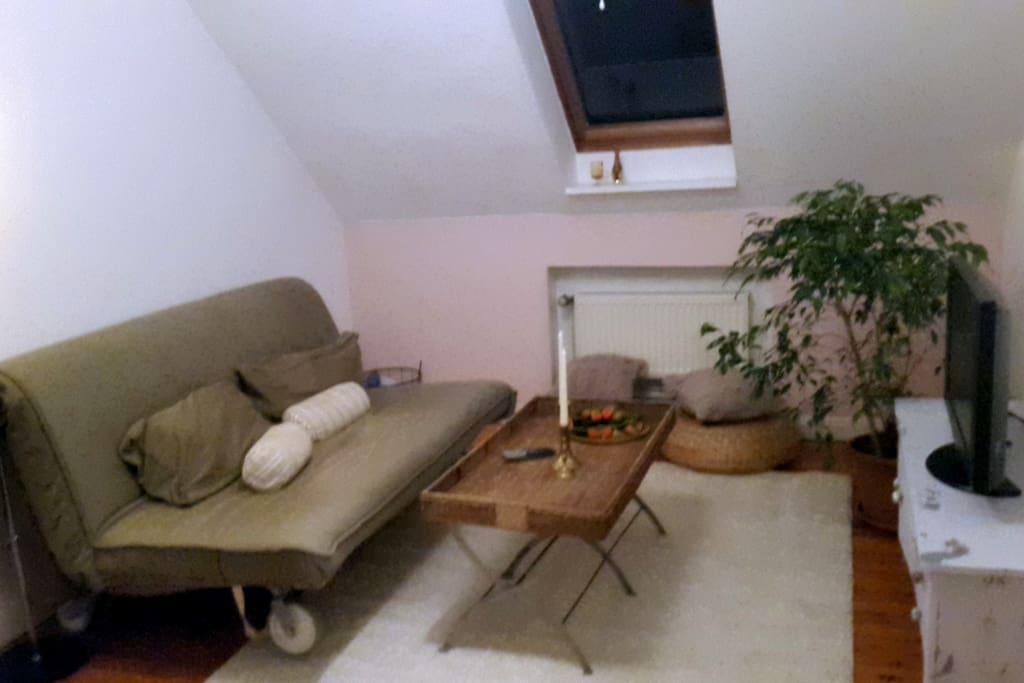Wohnzimmer mit Schlafcouch