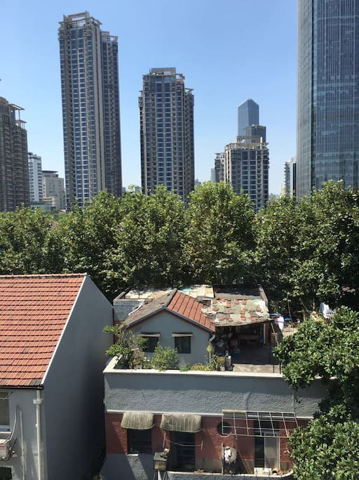 ⬇️窗外风景