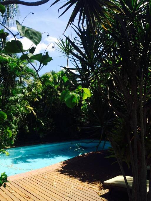 Use of pool and sun deck