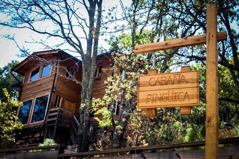 Cabin in Rancho Calixto forest with deer and birds