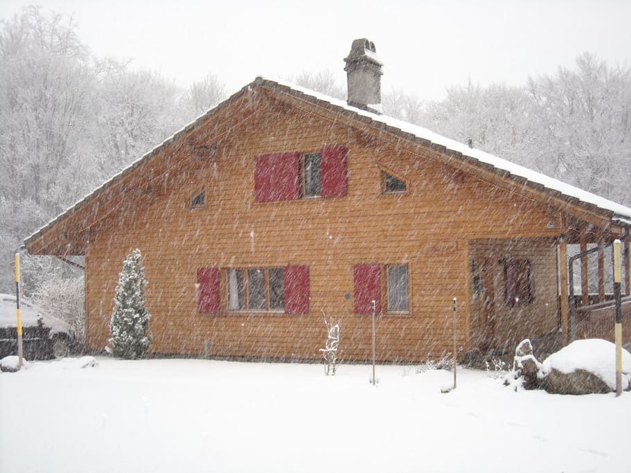 snowy front of house