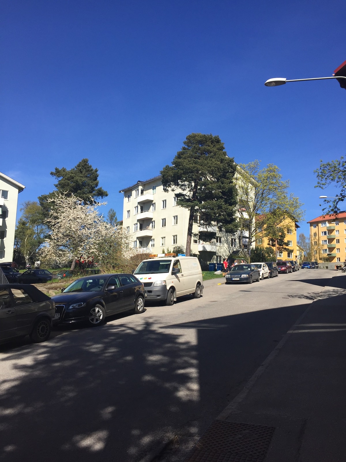 A bright street scene is observed with various vehicles parked along the road. Tall trees and blossoming plants add greenery to the environment. Several multi-story buildings in shades of white and yellow line the street under a clear blue sky.