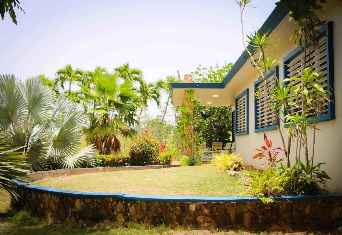 A charming single-family home is surrounded by lush greenery and colorful plants. A neatly manicured lawn encircles the structure, with a stone border enhancing its natural setting. Large windows allow ample natural light, contributing to a bright and inviting exterior.