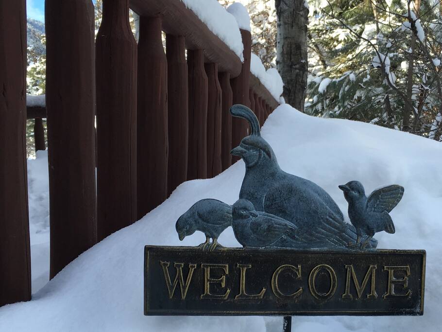 Welcome in winter and summer!