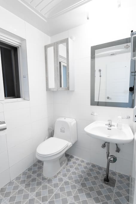 The bathroom is Korean style, but highly functional