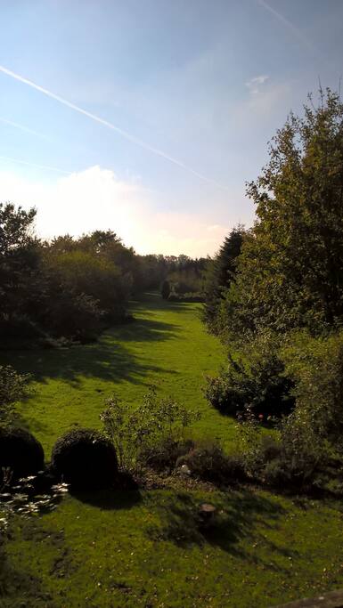 Ausblick vom Balkon