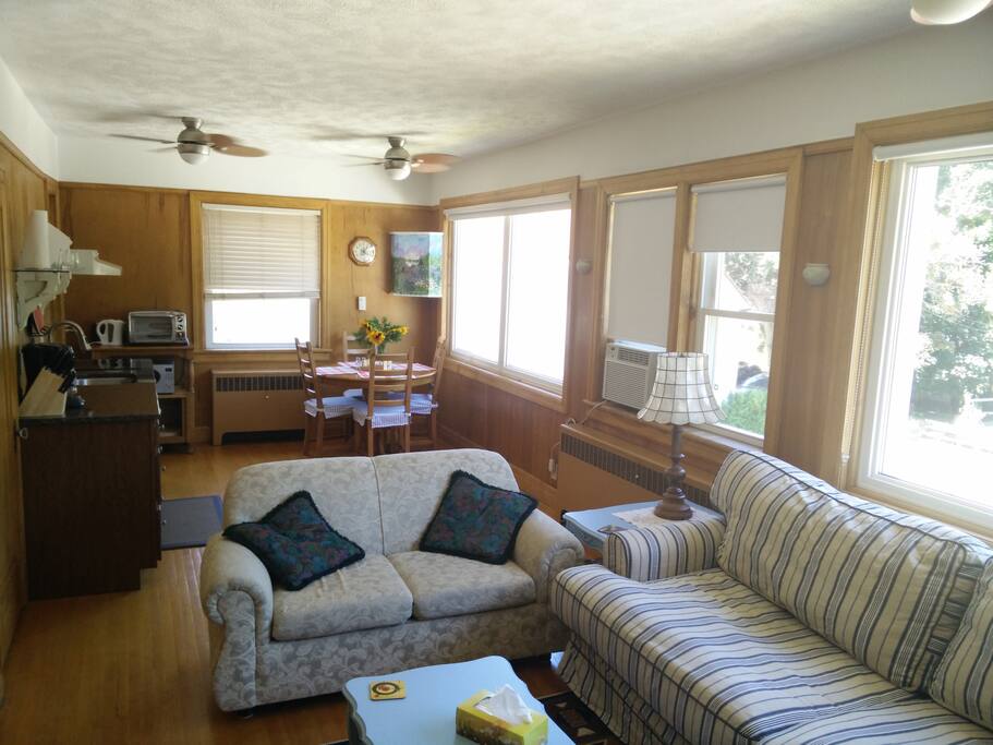 Apartment Living Room and Kitchen