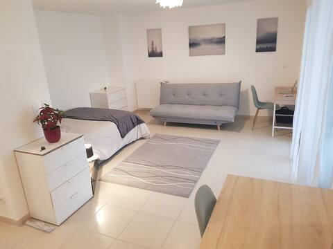 Cosy new  Studio close to airport, UN, palexpo !